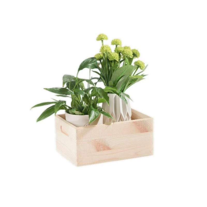 Kaste koka 508100 21x12x9.5 cm