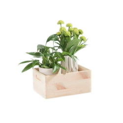 Kaste koka 508400 33x25x15.5 cm