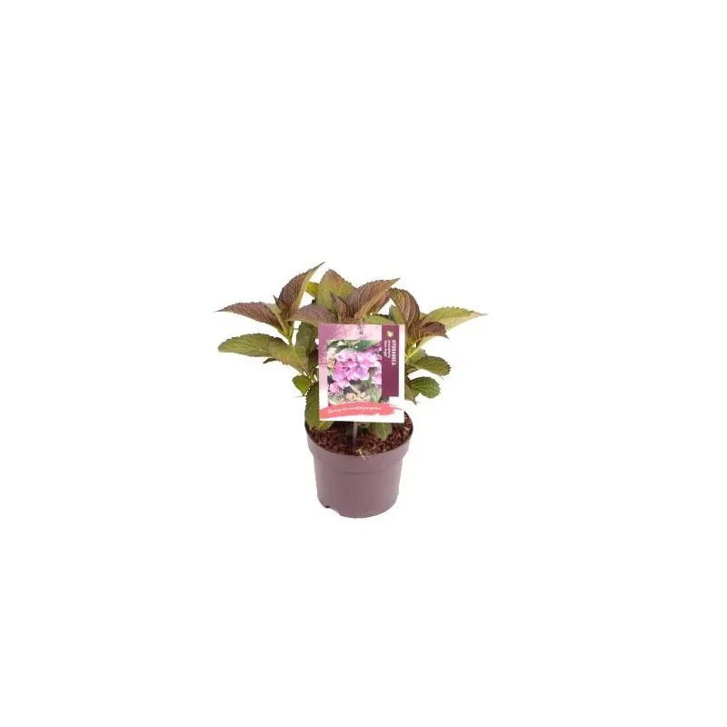 Pastatomas lauko šviestuvas Domoletti Orte 14216-H-PIR, 40W, E27, IP44, juoda sp., 12 cm x 30 cm