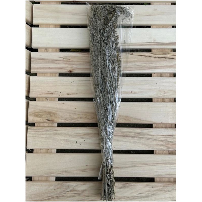 Pirtsslota vērmeļu flammifera