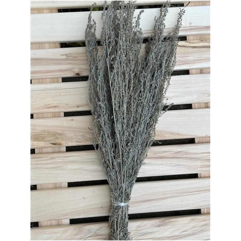 Pirtsslota vērmeļu flammifera