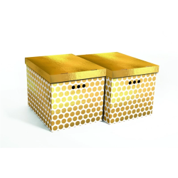 Kaste kart.sal. a4 2gab 44x35x32 zelta