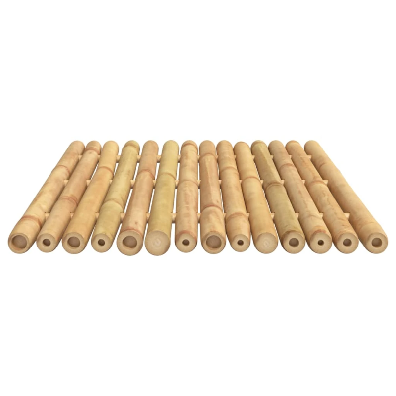 vidaXL vannasistabas paklāji, 2 gab., bambuss, 50x35 cm