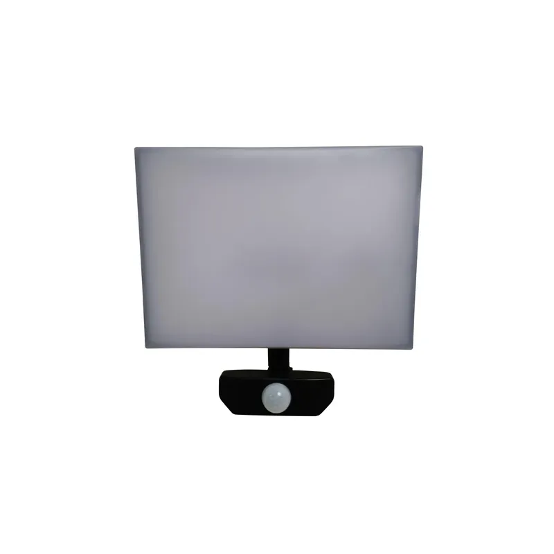 Prožektors ar kustības sensoru Standart, 5465 lm, 4000 °K, IP65, melna krās.