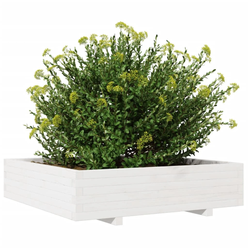 vidaXL dārza puķu kaste, balta, 100x100x26,5 cm, priedes masīvkoks