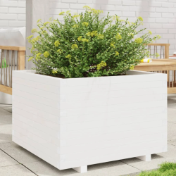 vidaXL dārza puķu kaste, balta, 70x70x49,5 cm, priedes masīvkoks