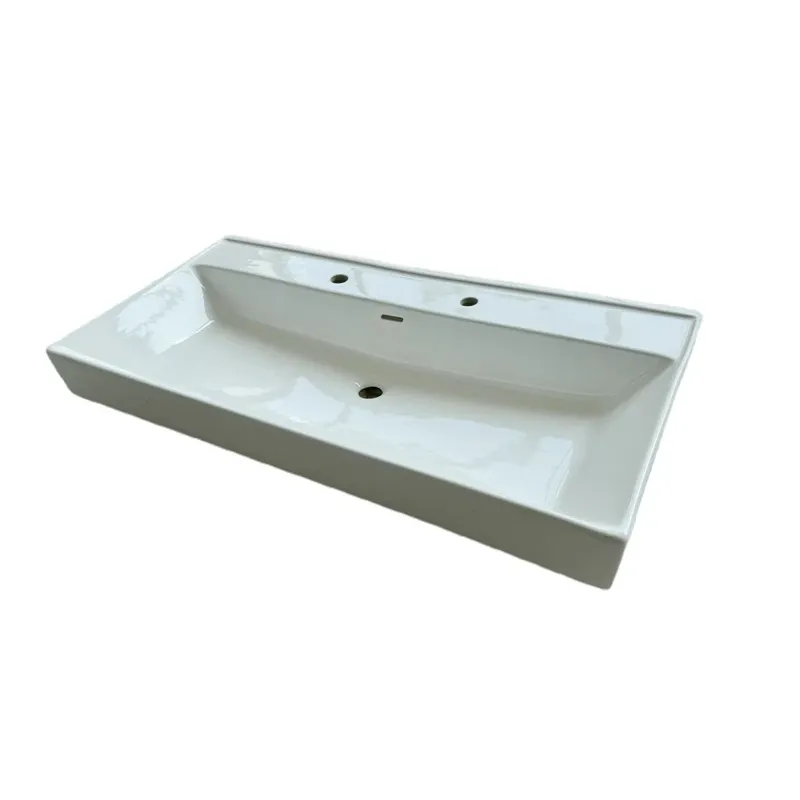 Vannas istabas izlietne Domoletti, 100 cm x 50.5 cm x 19.5 cm, balta