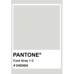 Lovatiesė Domoletti Washed. šviesiai pilka. 220 cm x 220 cm