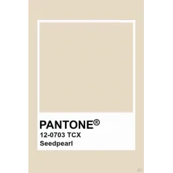 Voodikattekomplekt Domoletti Velvet, beež v., 220 cm x 240 cm