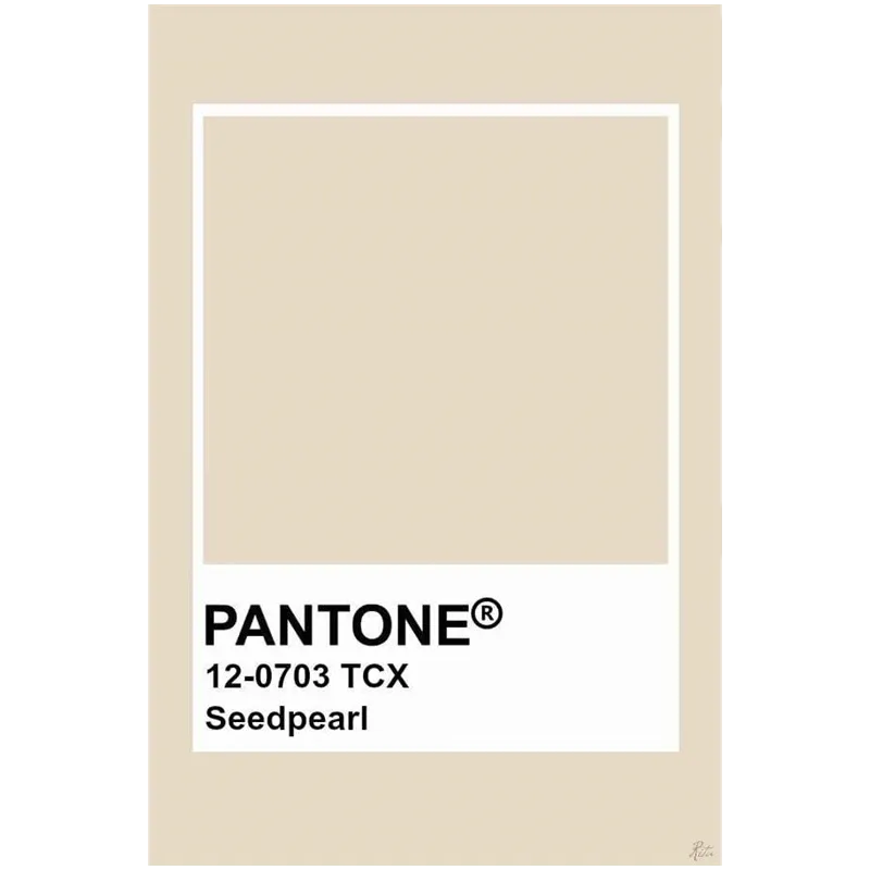 Gultas pārklāja komplekts Domoletti Velvet, bēša, 220 cm x 240 cm