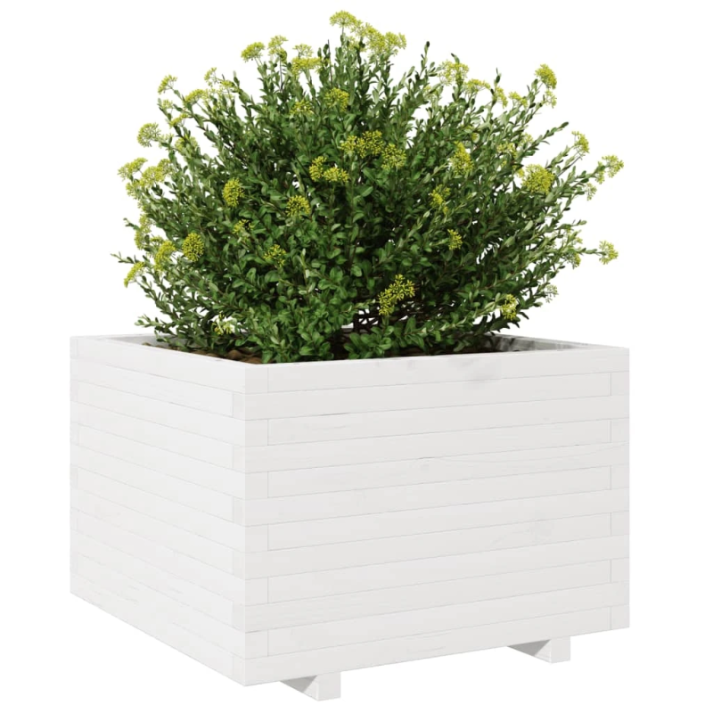 vidaXL dārza puķu kaste, balta, 70x70x49,5 cm, priedes masīvkoks