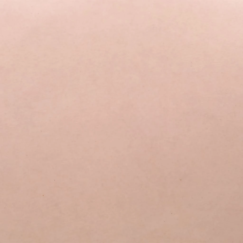 vidaXL krūšu plāksne, silikons, B kausiņš