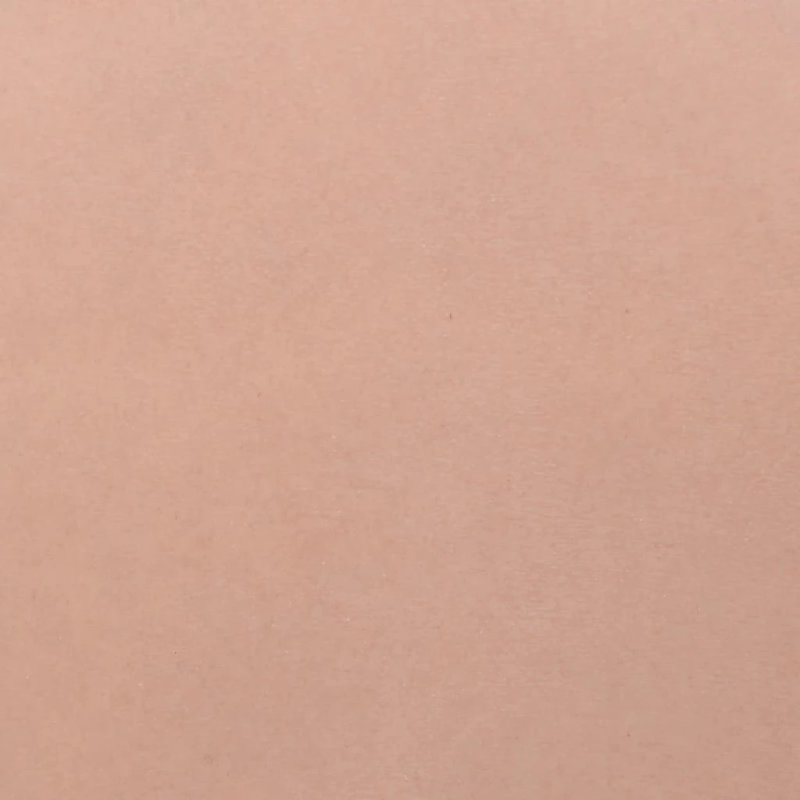 vidaXL krūšu plāksne, silikons, E kausiņš, dabīga krāsa