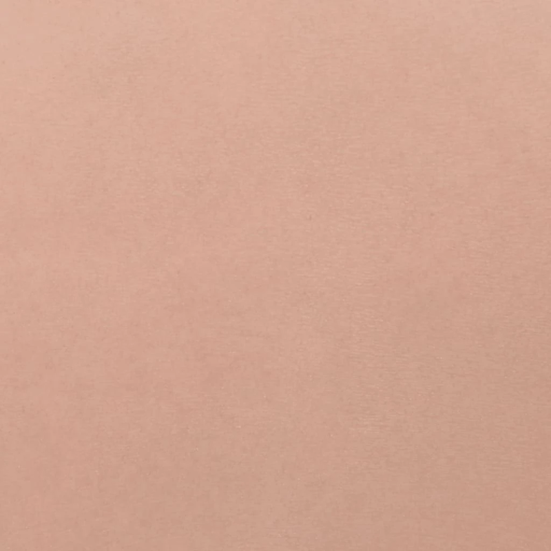 vidaXL krūšu plāksne, silikons, E kausiņš, dabīga krāsa