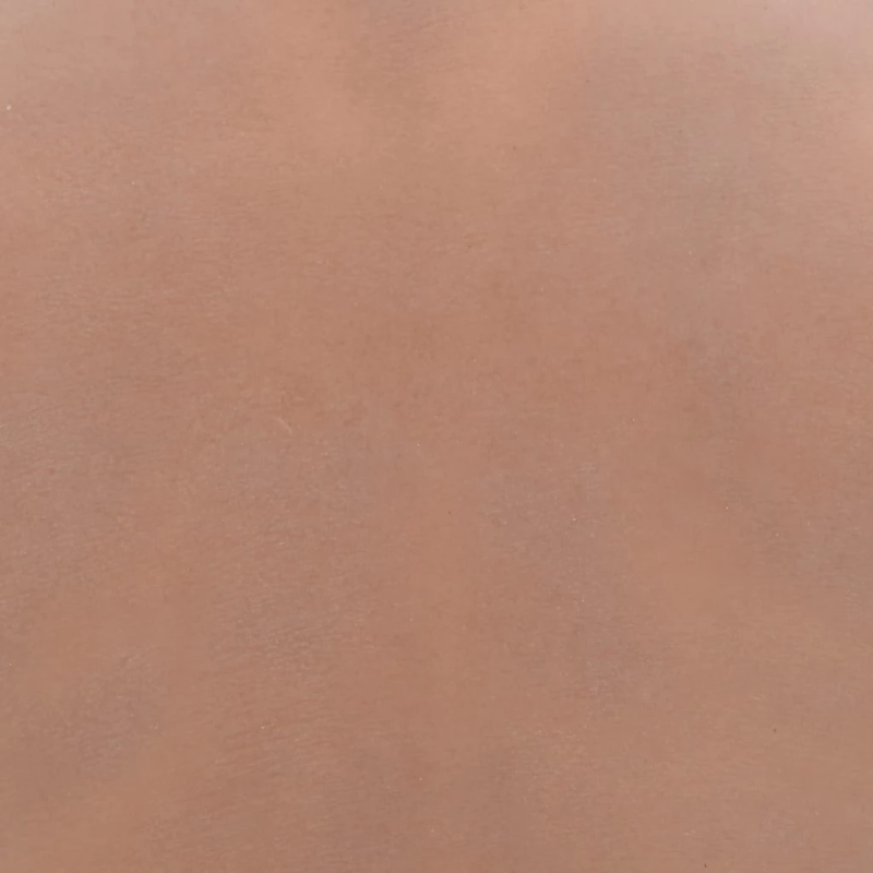 vidaXL krūšu plāksne, silikons, E kausiņš