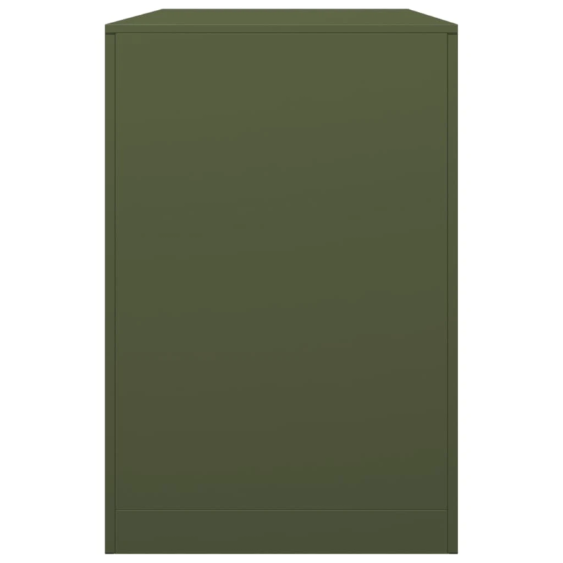 vidaXL malkas uzglabāšanas statīvs, zaļš, 100x40x60 cm, tērauds