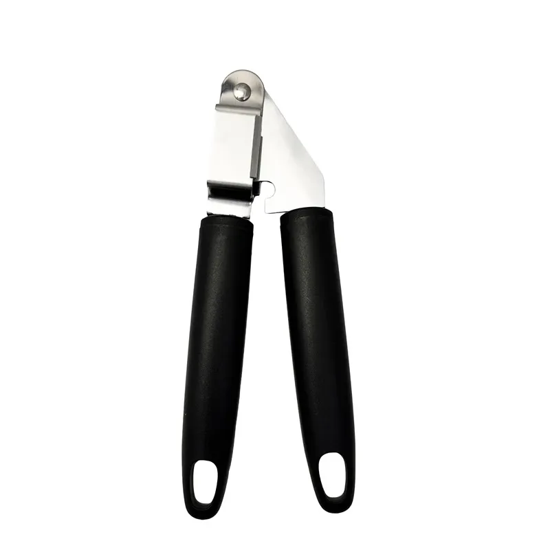 Ķiploku spiede Domoletti