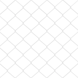 vidaXL Žoga āķis Sudraba 10 x 0,4 m ,40 x 40 mm acs, Tērauds