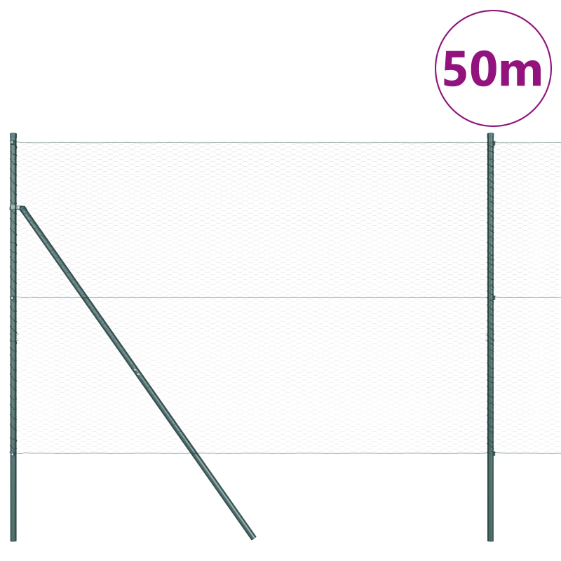 vidaXL Žoga āķis Zaļa 50 x 1,6 m ,25 mm siets, Tērauds un PVC