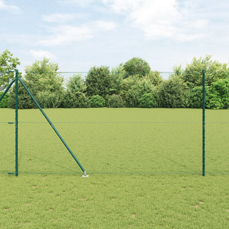 vidaXL Žoga āķis Zaļa 10 x 1,6 m ,36 mm siets, Tērauds un PVC