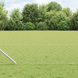 vidaXL Žoga āķis Sudraba 10 x 0,6 m ,50 mm siets, Tērauds