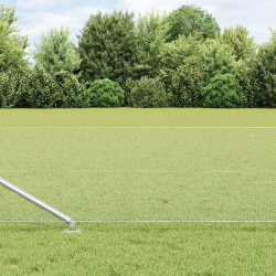 vidaXL Žoga āķis Sudraba 25 x 0,4 m ,13 mm acs, Tērauds