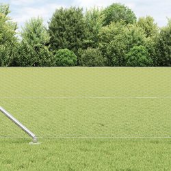 vidaXL Žoga āķis Sudraba 25 x 0,6 m ,25 mm sieta, Tērauds