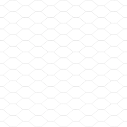 vidaXL Žoga āķis Sudraba 10 x 1 m ,25 mm sieta, Tērauds