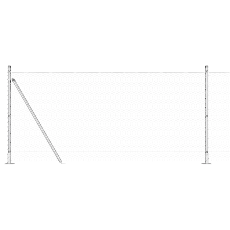 vidaXL Žoga āķis Sudraba 100 x 0,8 m ,25 mm acs, Tērauds