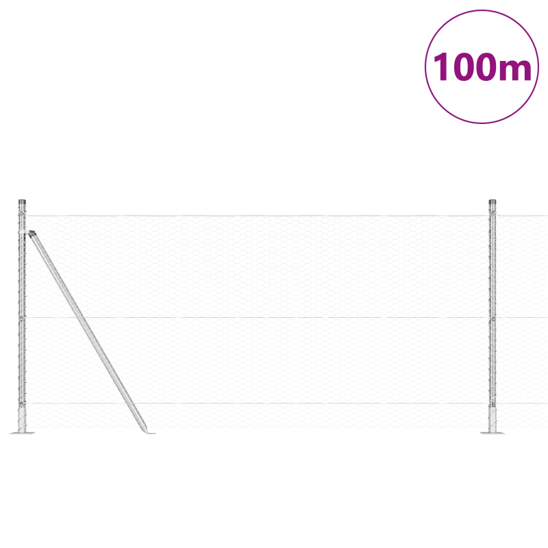 vidaXL Žoga āķis Sudraba 100 x 0,8 m ,25 mm acs, Tērauds