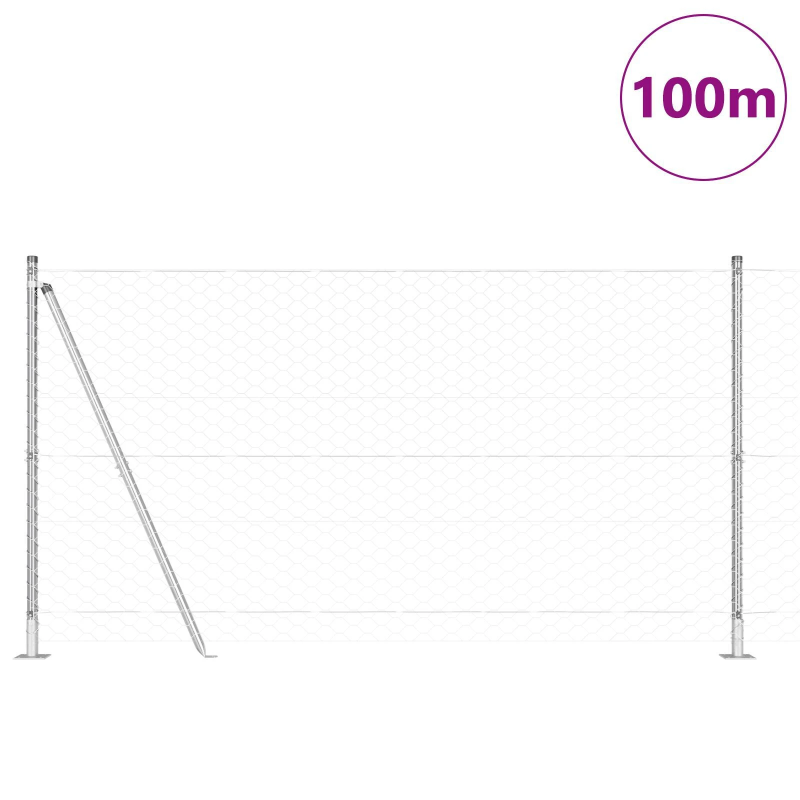 vidaXL Žoga āķis Sudraba 100 x 1,6 m ,50 mm acu, Tērauds