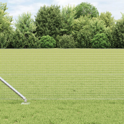 vidaXL Žoga āķis Sudraba 100 x 0,6 m ,25 x 25 mm acs, Tērauds