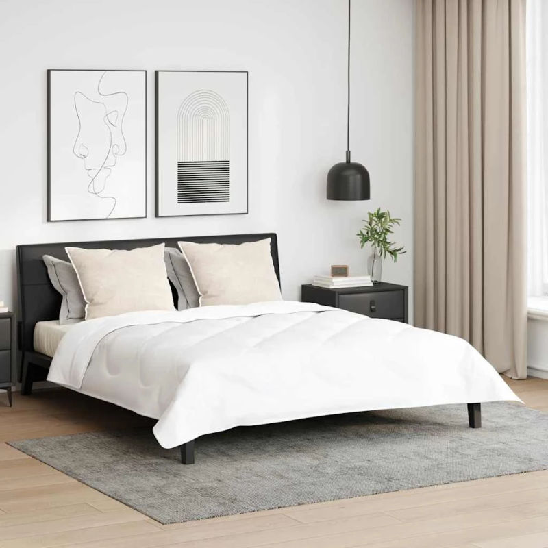 vidaXL Spilvens ar spilvenu 2 pcs Balts 61 x 41 x 20 cm Poliesters