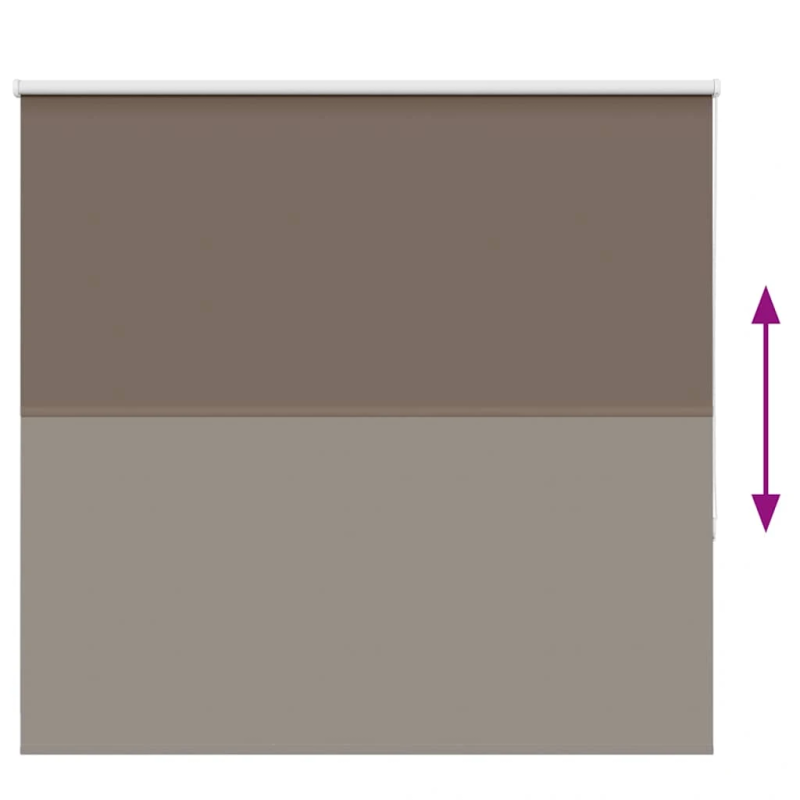 vidaXL Rullo žalūzija kafijas 155x150 cm auduma platums 151,6 cm