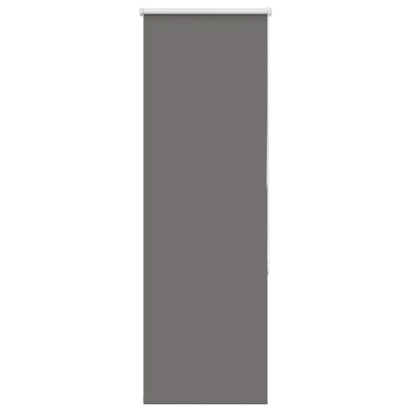 vidaXL rullo žalūzija pelēks 60x130cm auduma platums 55,7cm poliesters