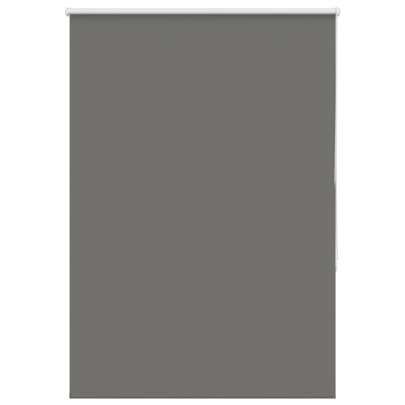 vidaXL rullo žalūzija pelēks 105x175 cm auduma platums 100,7 cm