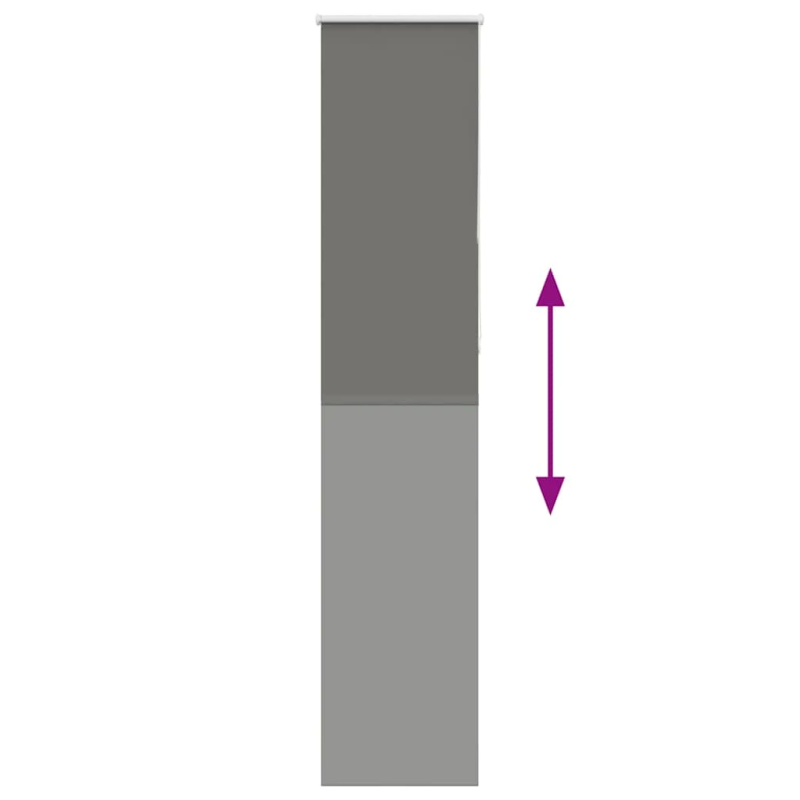 vidaXL Rullo žalūzija Blackout pelēks 55x210 cm Auduma platums 50,7 cm