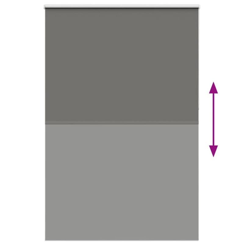 vidaXL Rullo žalūzija Blackout pelēks 155x210cm Auduma platums 151,6cm