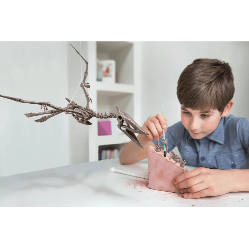 4M Kasinėjimų rinkinys „Pteranodonas