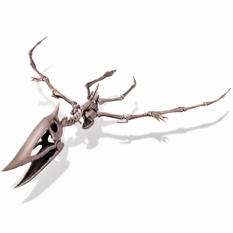 4M Kasinėjimų rinkinys „Pteranodonas