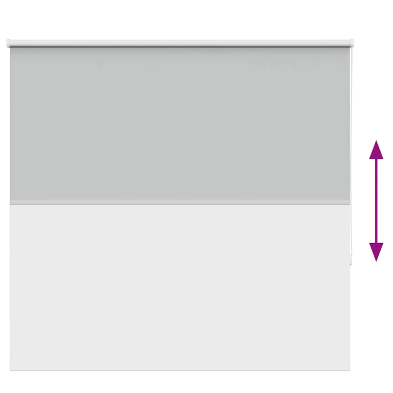 vidaXL Rullo žalūzija gaiši pelēks 165x175 cm auduma platums 161,6 cm