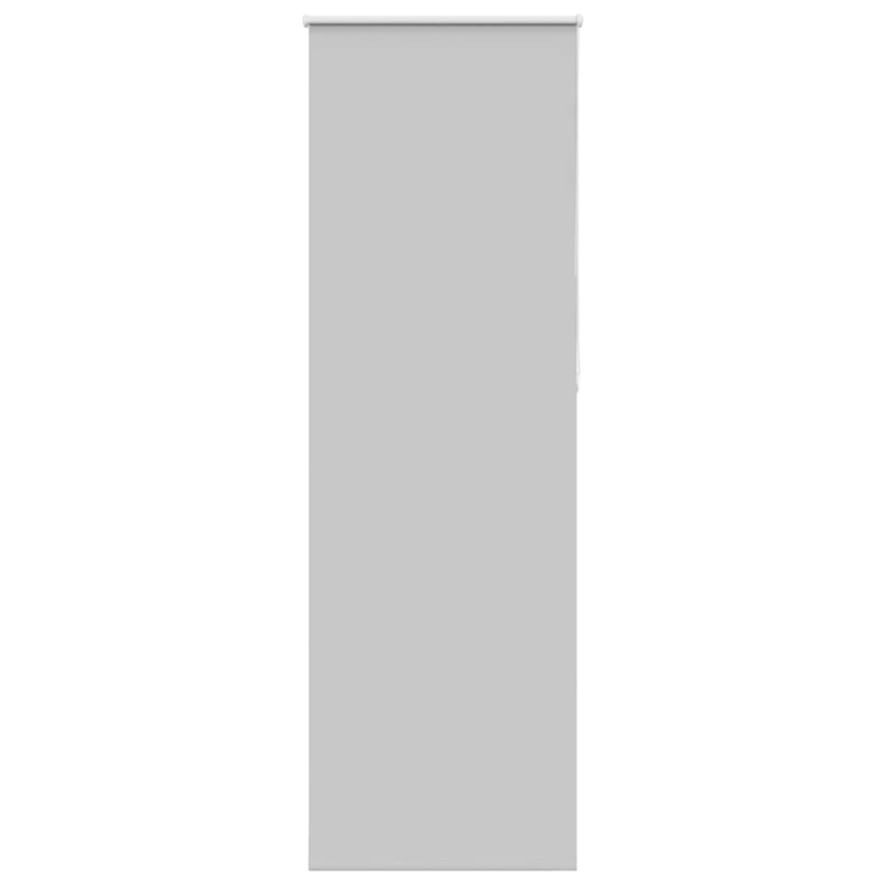 vidaXL rullo žalūzija gaiši pelēks 65x210cm auduma platums 60,7cm