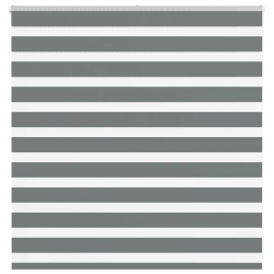 vidaXL žalūzijas zebra 150x100 cm auduma platums 145,9 cm poliesters