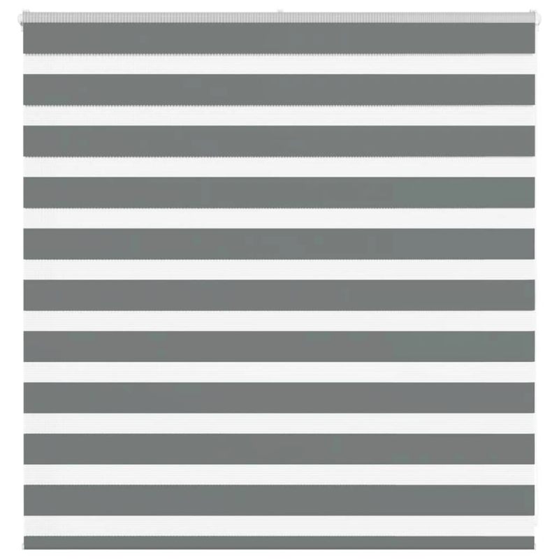 vidaXL žalūzijas zebra 150x100 cm auduma platums 145,9 cm poliesters