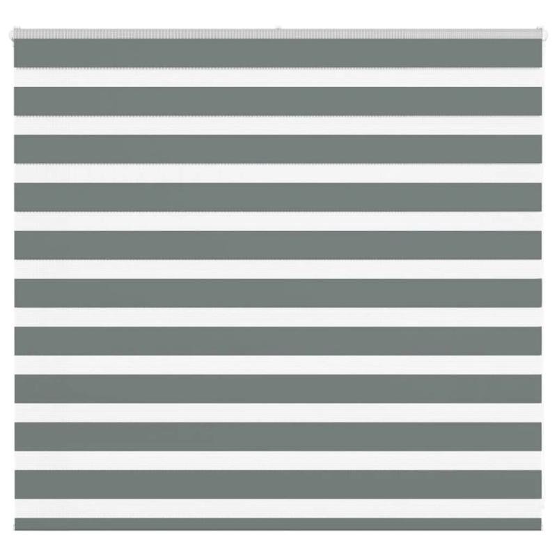 vidaXL žalūzijas zebra 165x100 cm auduma platums 160,9 cm poliesters