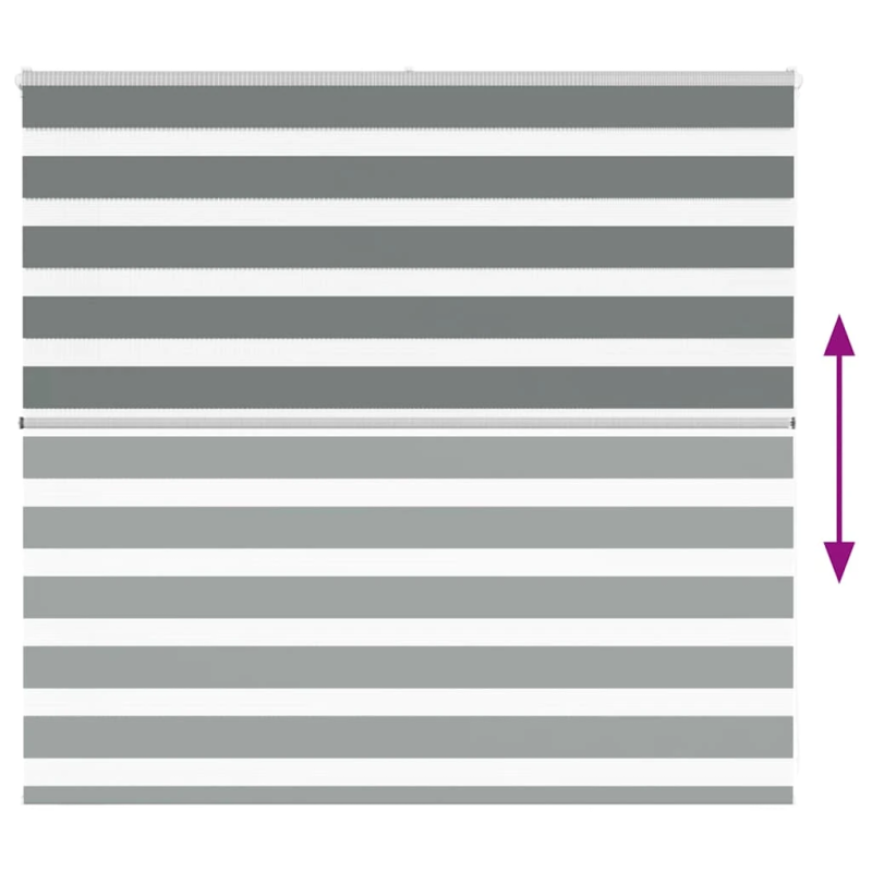 vidaXL žalūzijas zebra 165x100 cm auduma platums 160,9 cm poliesters