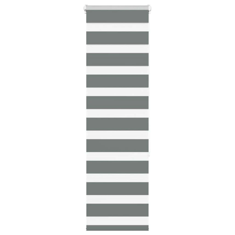 vidaXL žalūzijas zebra 40x150 cm auduma platums 35,9 cm poliesters