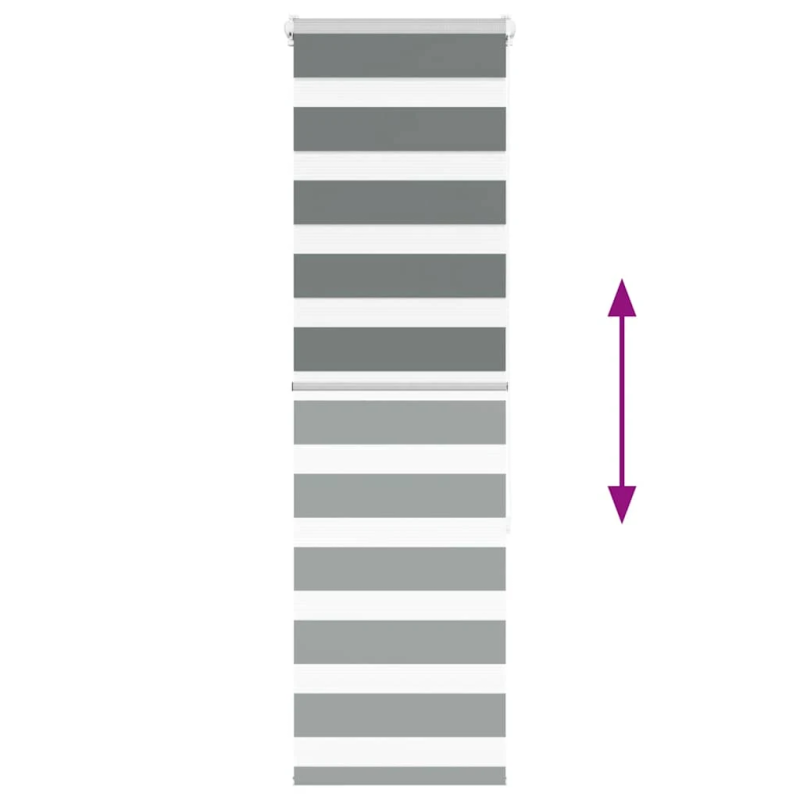 vidaXL žalūzijas zebra 40x150 cm auduma platums 35,9 cm poliesters