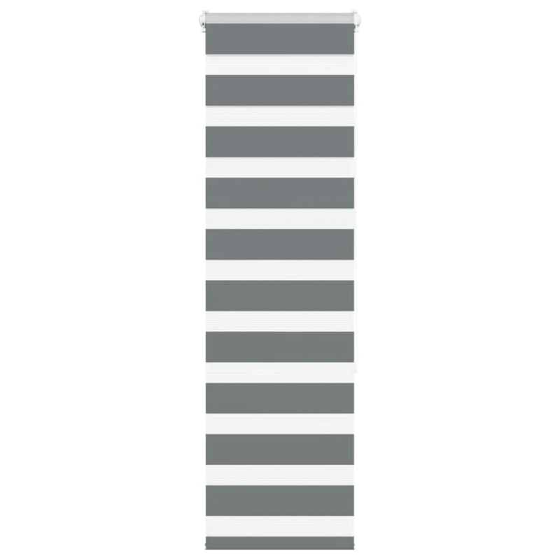 vidaXL žalūzijas zebra 50x150 cm auduma platums 45,9 cm poliesters