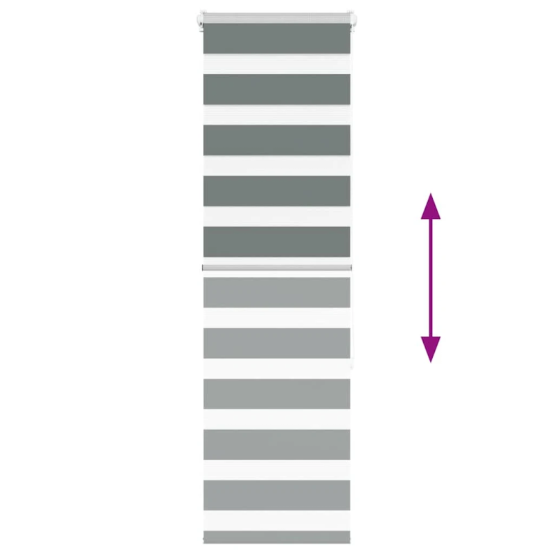 vidaXL žalūzijas zebra 50x150 cm auduma platums 45,9 cm poliesters